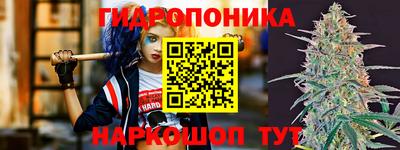 мдпв Аргун