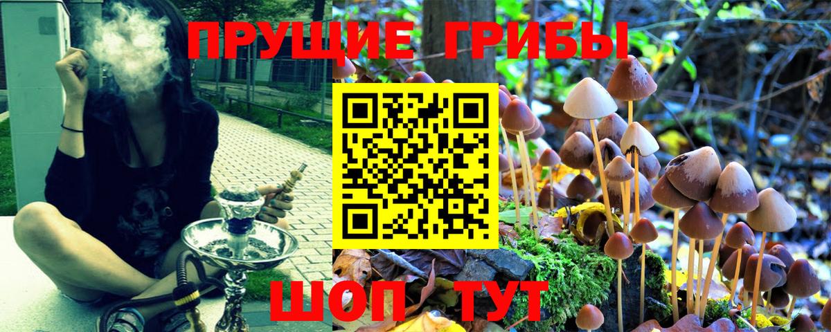 Ачхой-Мартан  Галлюциногенные грибы MAGIC MUSHROOMS  Вход с VPN  Галлюциногенные грибы MAGIC MUSHROOMS 