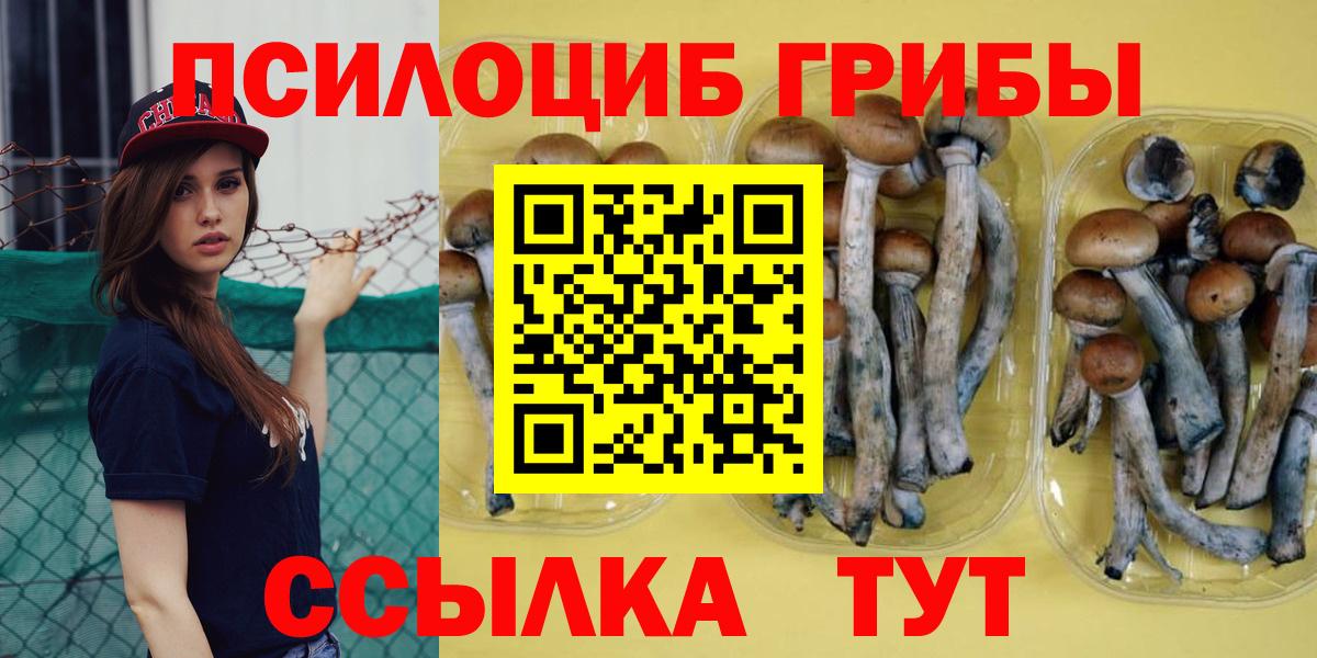 Галлюциногенные грибы ЛСД Ачхой-Мартан